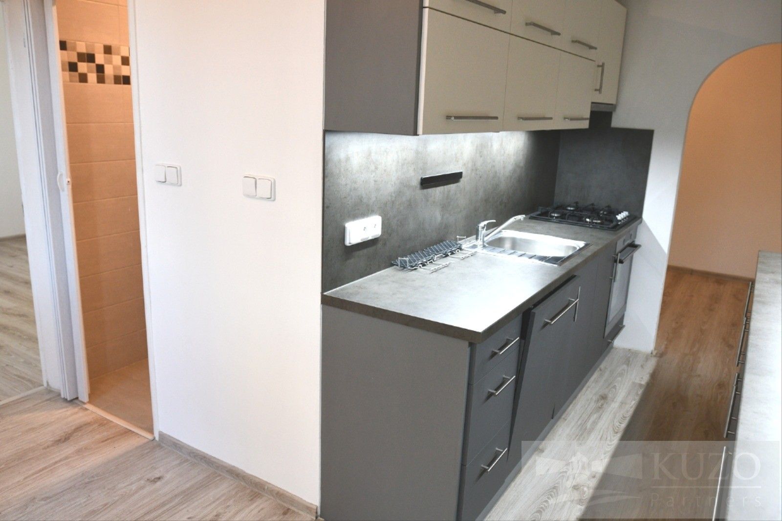 Pronájem byt 2+1 - Dvořákova, Plzeň, 62 m²