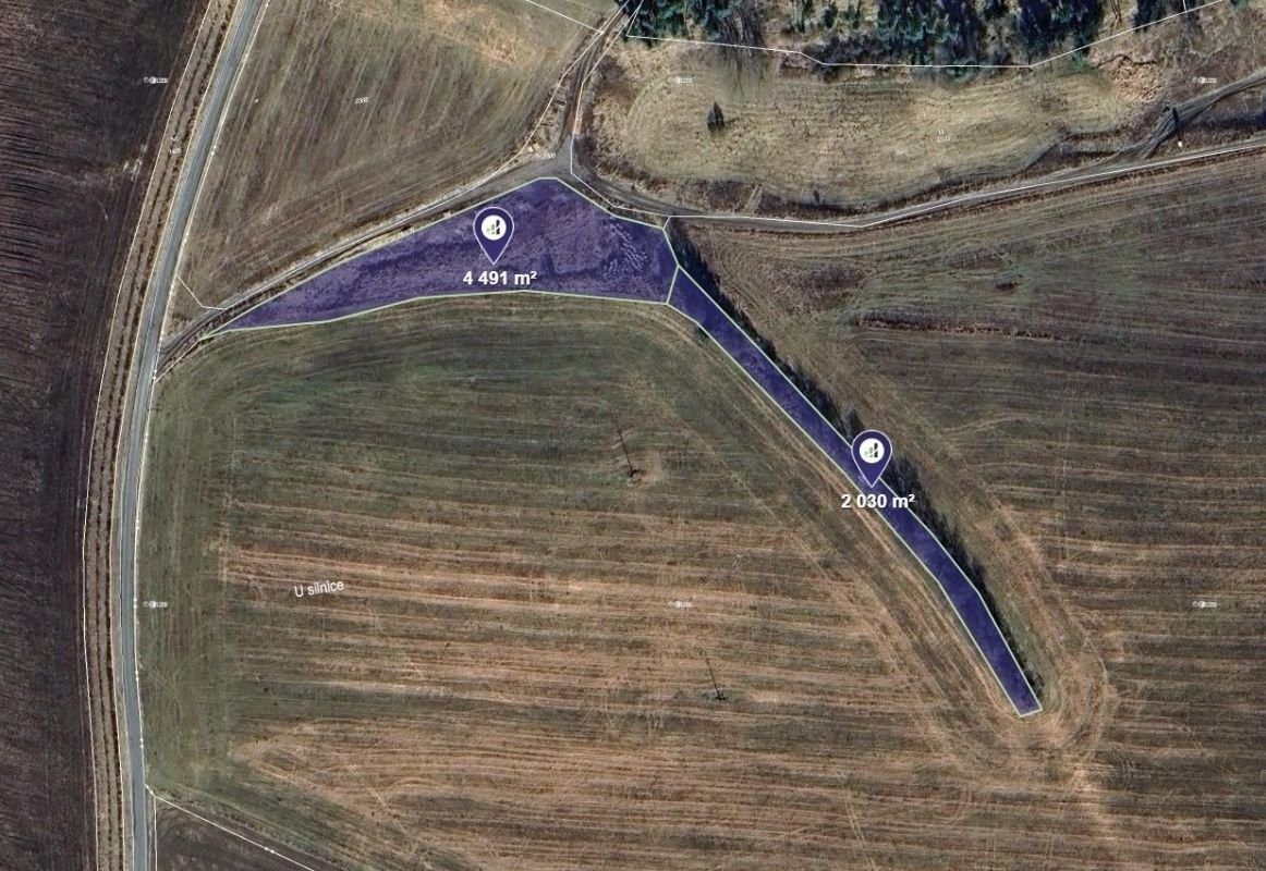 Louky, Planá, 17 635 m² - 2