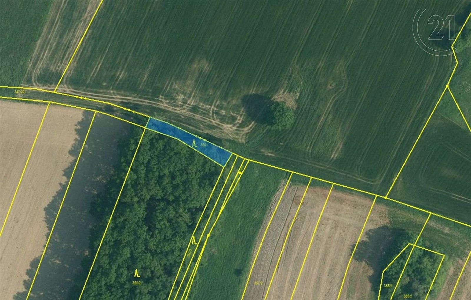 Prodej zemědělský pozemek - Olešník