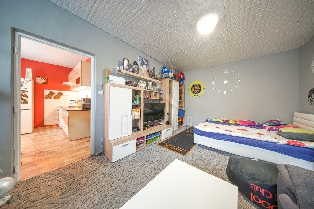 1+1, Na Radouči, Mladá Boleslav, 43 m²