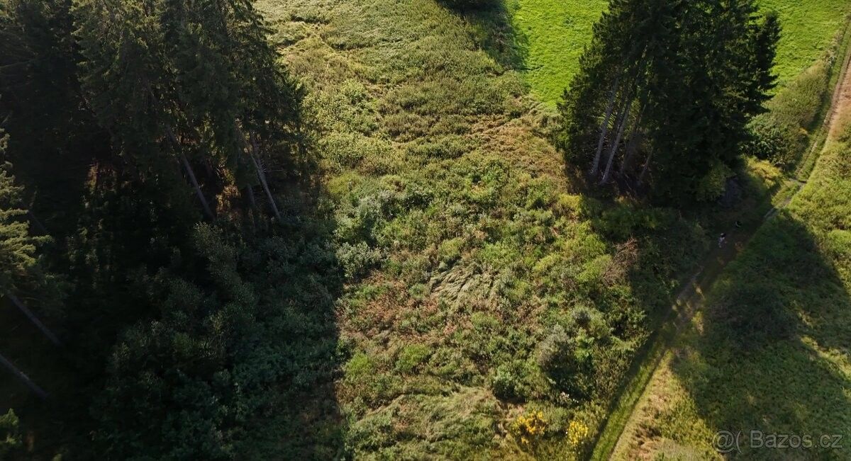 Prodej pozemek pro bydlení - Kdyně, 345 06