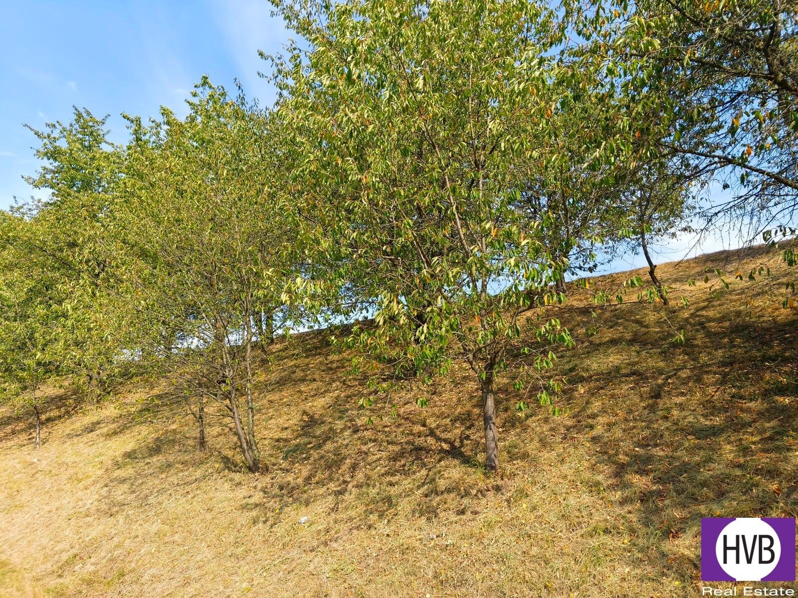 Pozemek · 1 229 m² · Synkov-Slemeno - 4