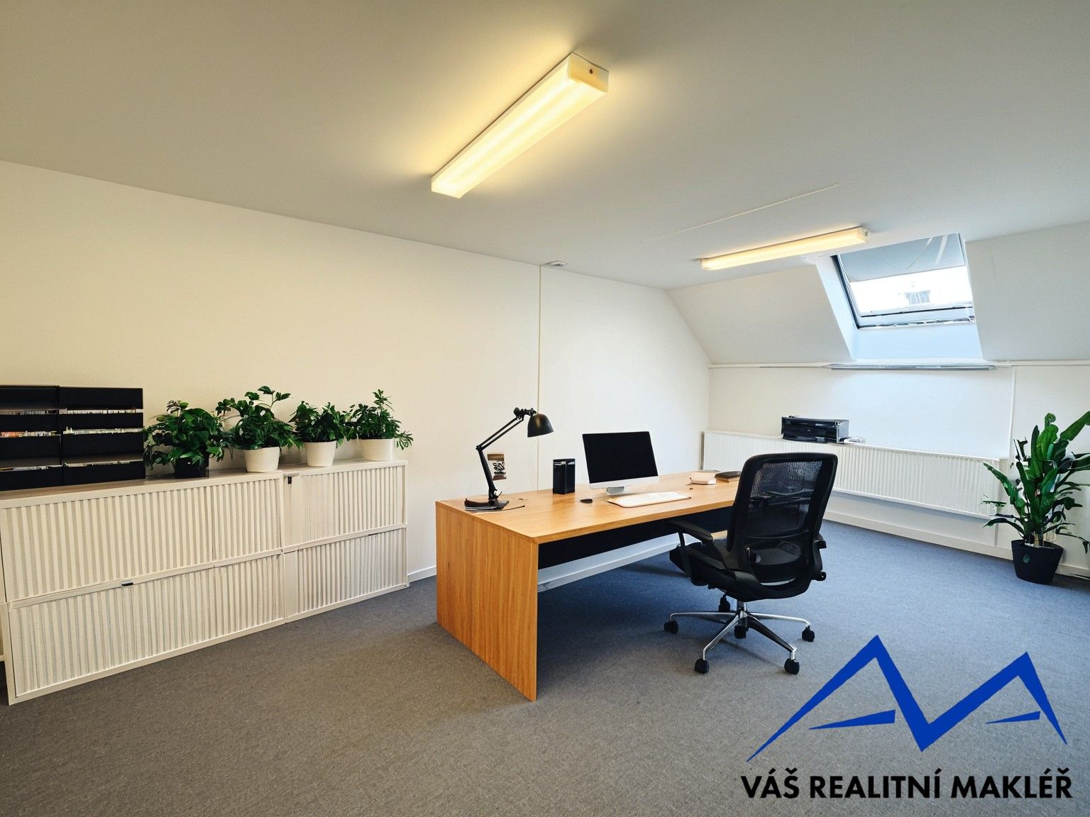 Kanceláře, Výhledy, Ostrava, 350 m²