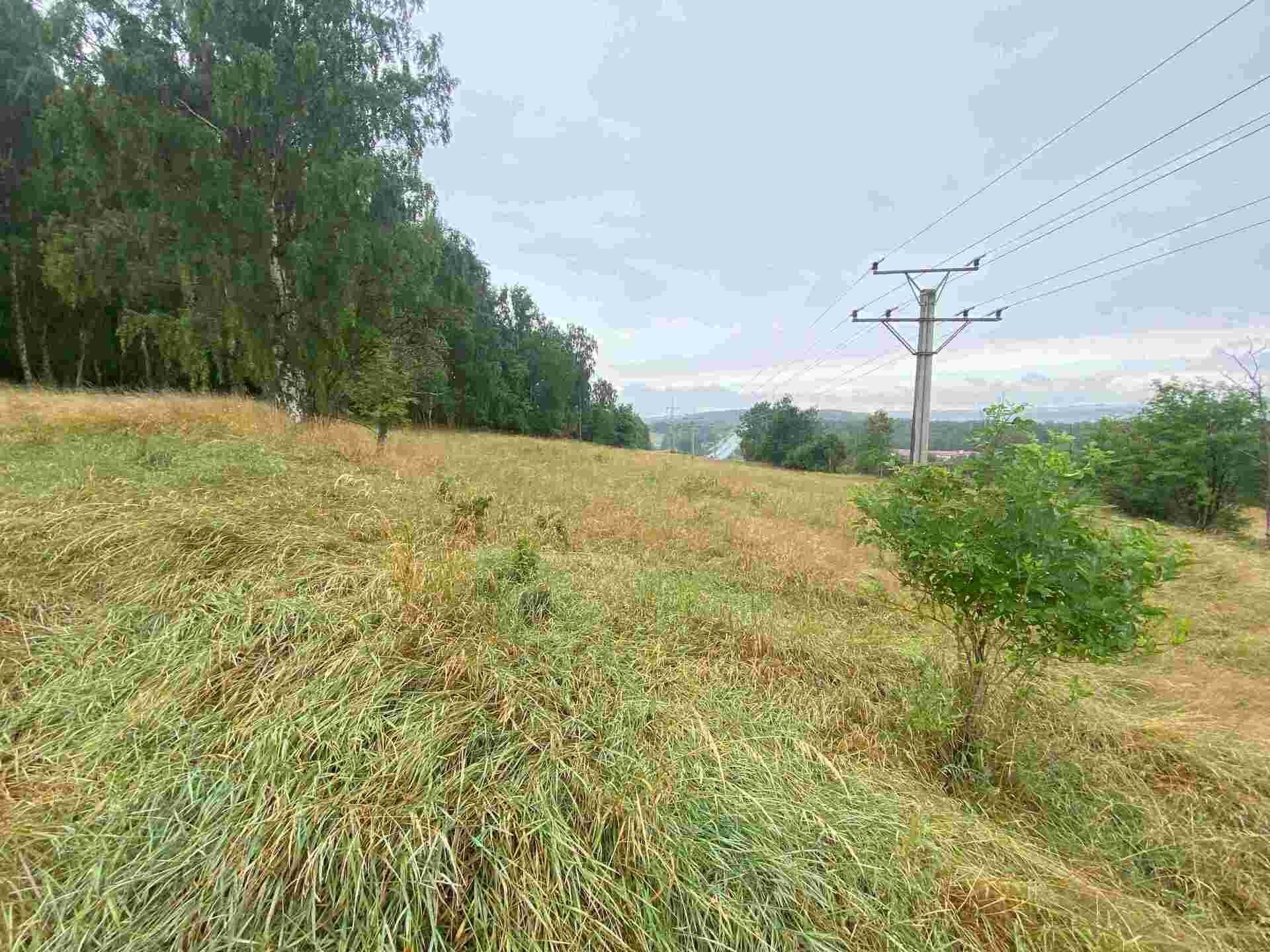 Prodej zemědělský pozemek - Nové Sedlo Loučky, 49 321 m² - 5