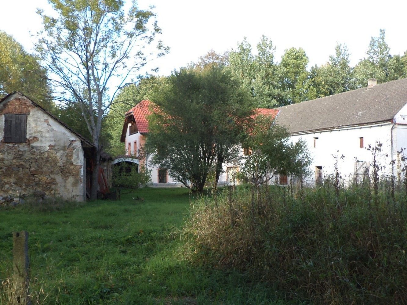 Prodej louka - Žďár, okres Jindřichův Hradec, Jihočeský kraj - 2
