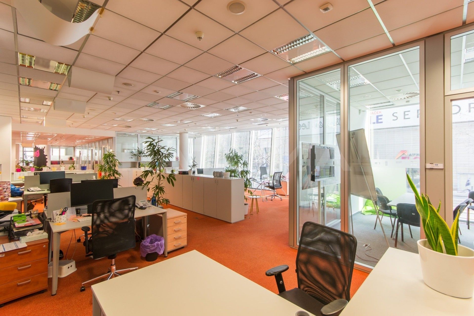 Pronájem kancelář - Přemyslovská, Praha, 134 m²