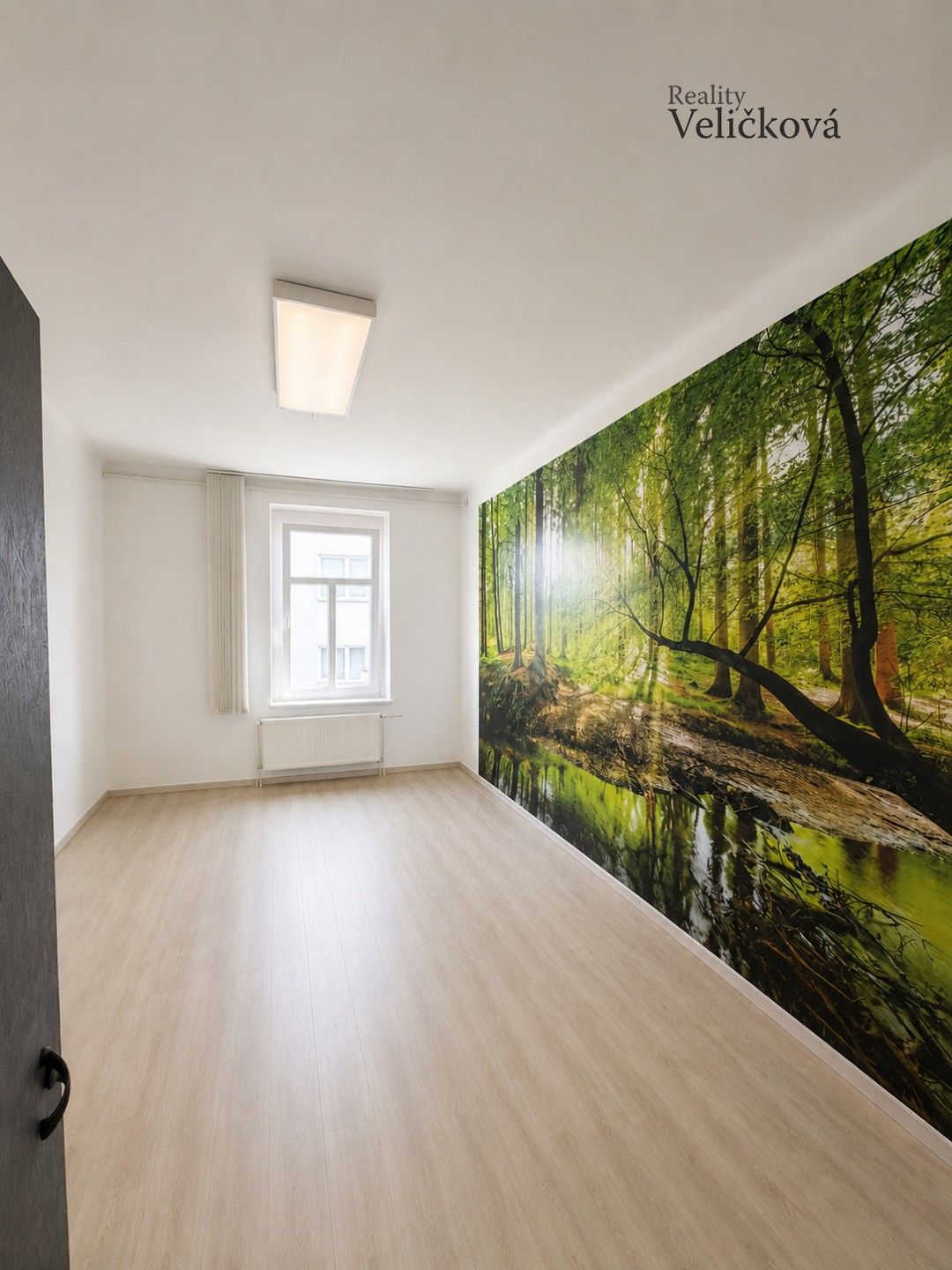 Kanceláře, Všehrdova, Hradec Králové, 37 m² - 2