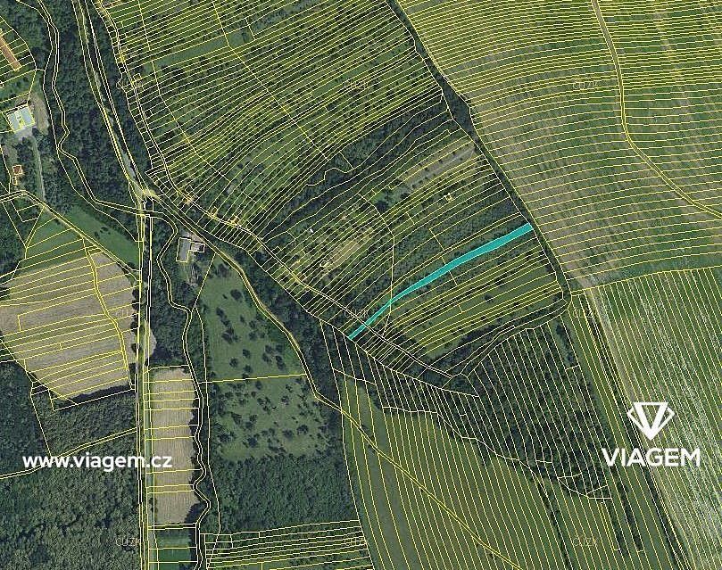 Zahrada · Veletiny, okres Uherské Hradiště, Zlínský kraj - 3