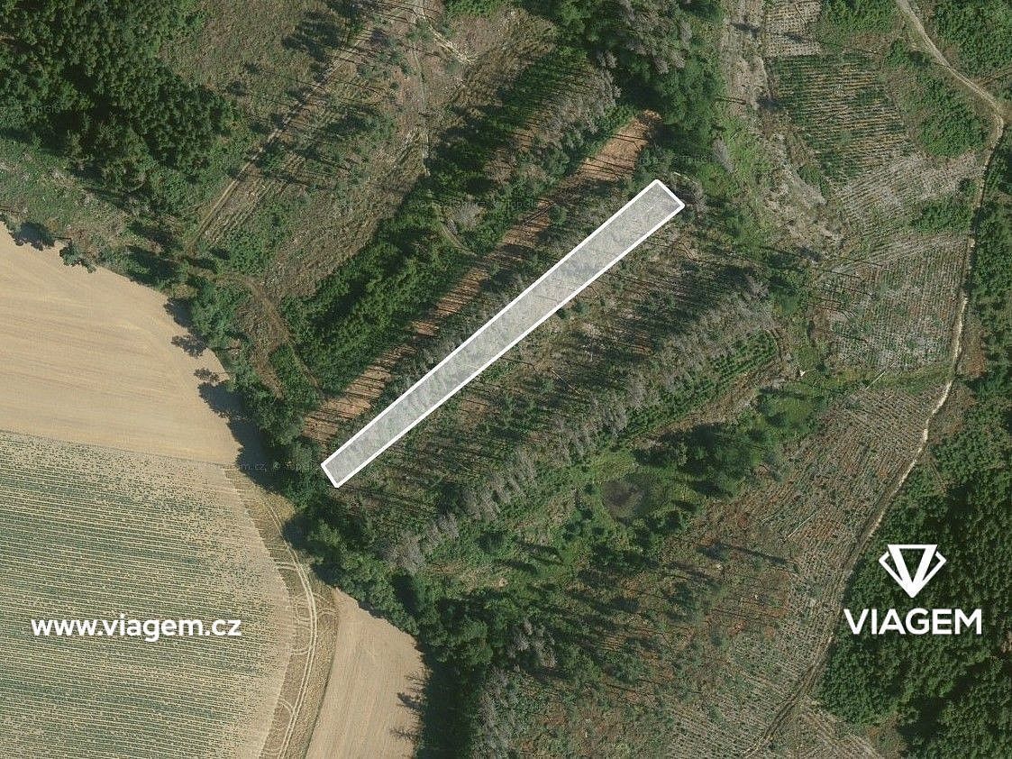 Prodej les - Děkanovice, okres Benešov, Středočeský kraj - 2