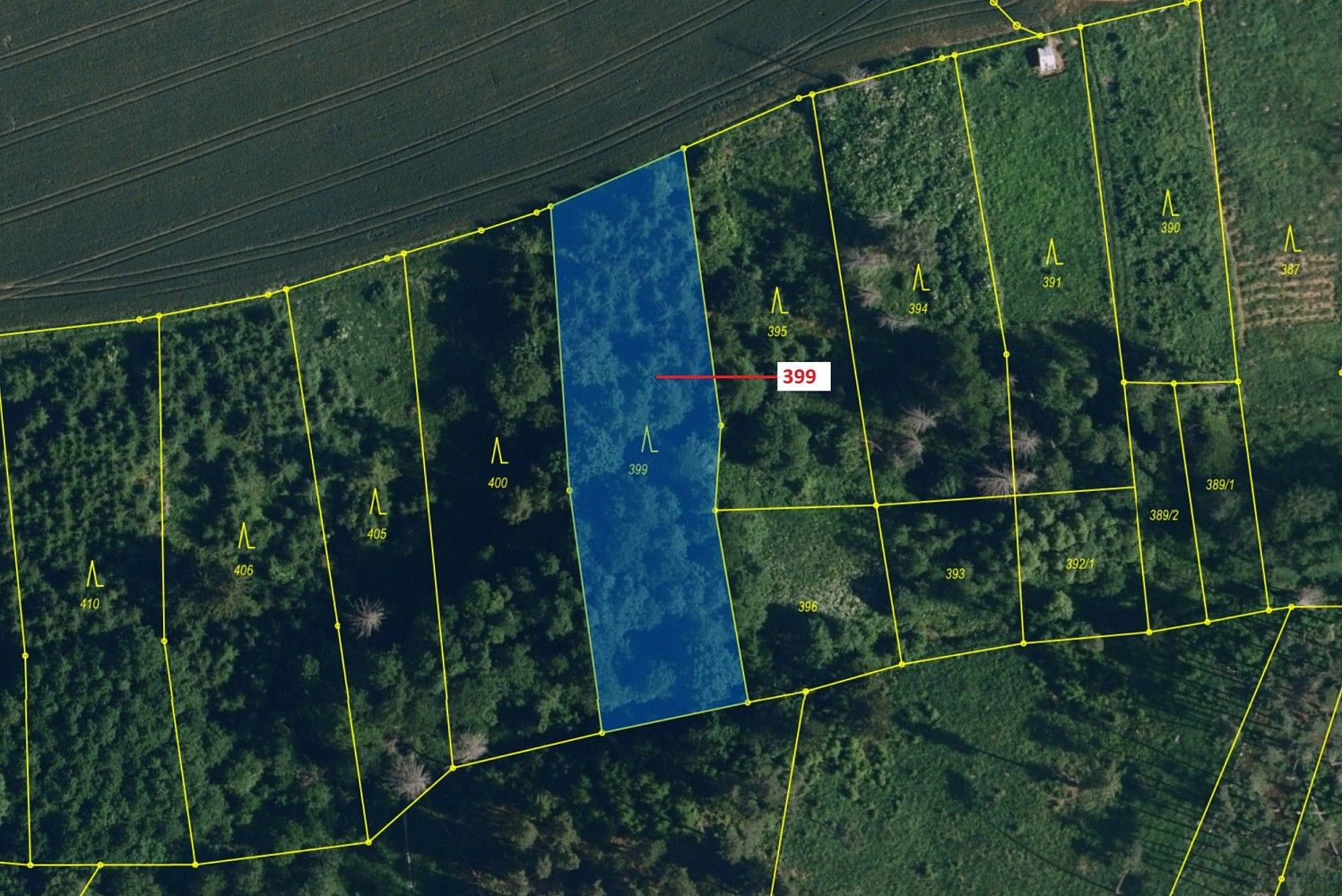 Lesy, Chotěbudice, okres Třebíč, Kraj Vysočina - 2