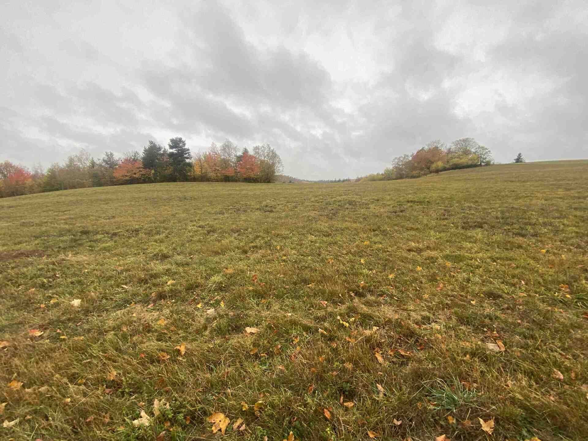 Zemědělský pozemek · 5 380 m² · Lipová - 2