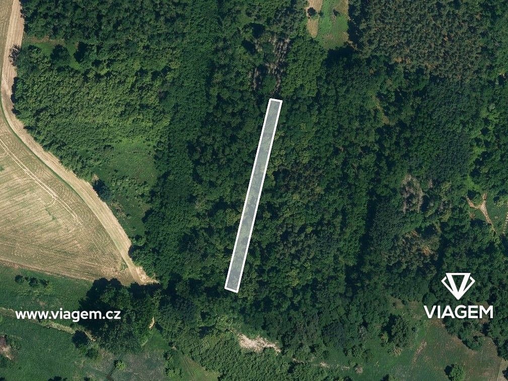 Lesy, Hovorany, okres Hodonín, Jihomoravský kraj - 2