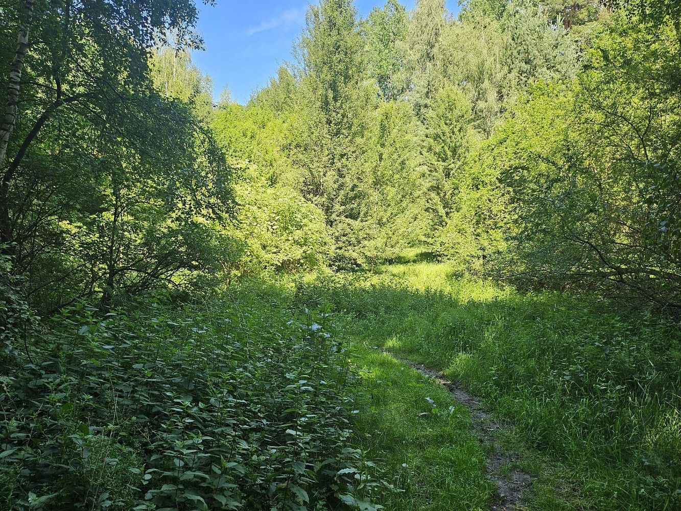 Louka · Boseň, okres Mladá Boleslav, Středočeský kraj - 2