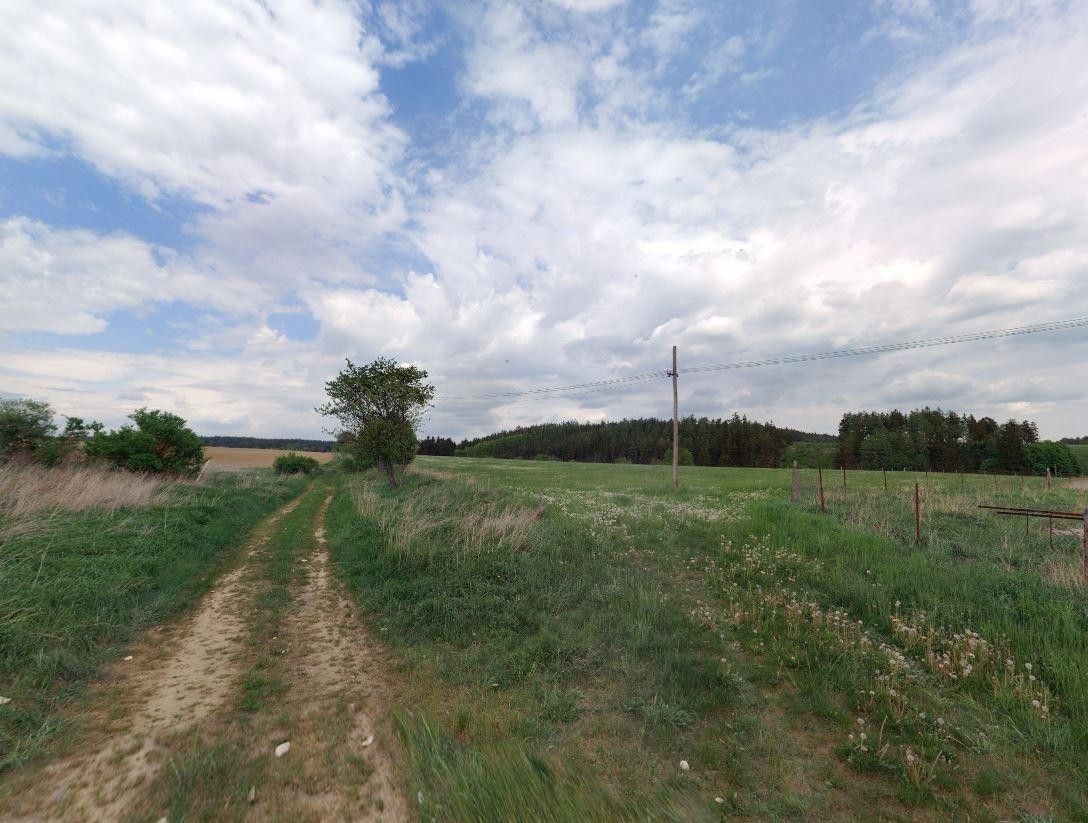 Zemědělské pozemky, Skviřín, Bor, 25 422 m²
