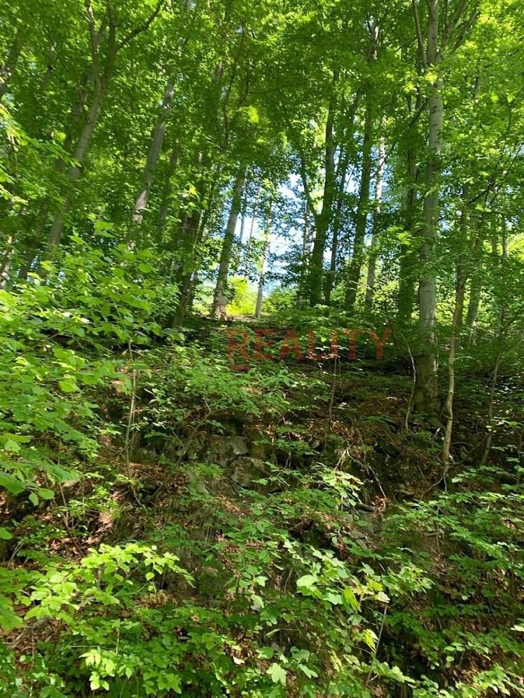 Prodej les - Třinec - Tyra, okres Frýdek-Místek, Moravskoslezský kraj - 2