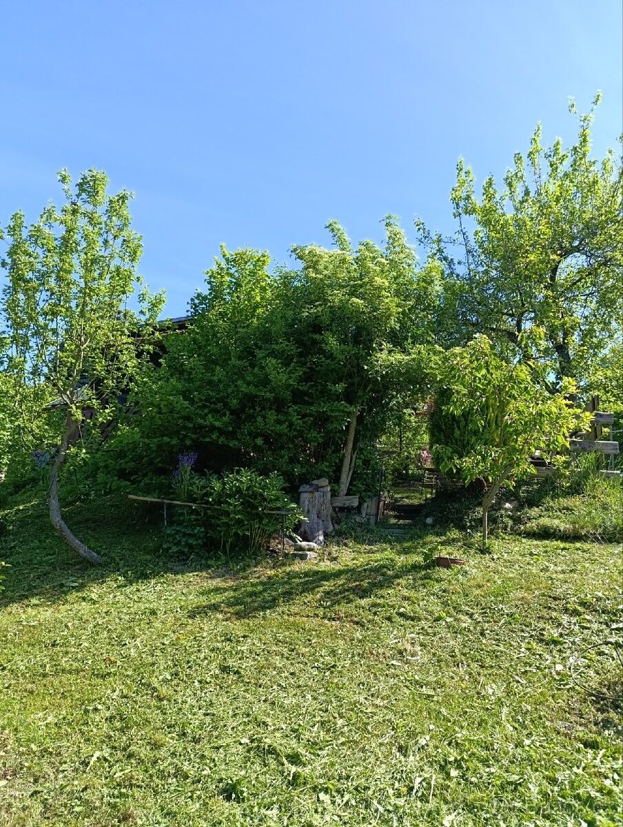 Chaty, Letohrad, 561 51 - 2