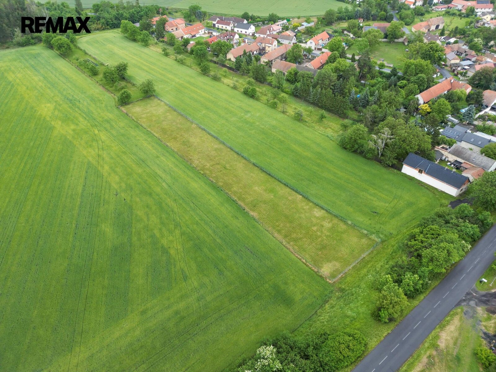 Pozemek · 3 211 m² · Peruc - 4