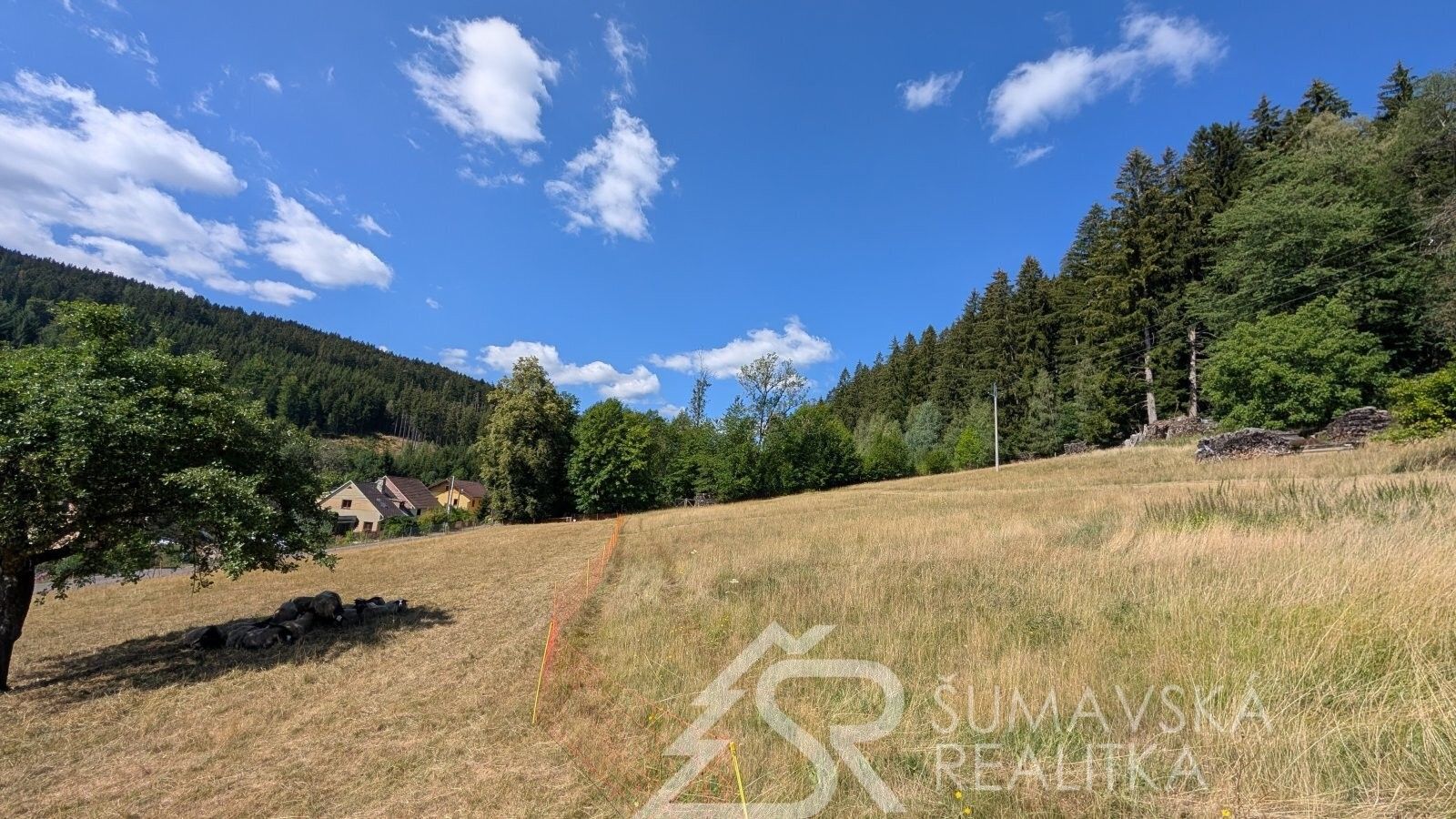 Prodej pozemek pro bydlení - Pařezí, Petrovice u Sušice, 4 773 m² - 5