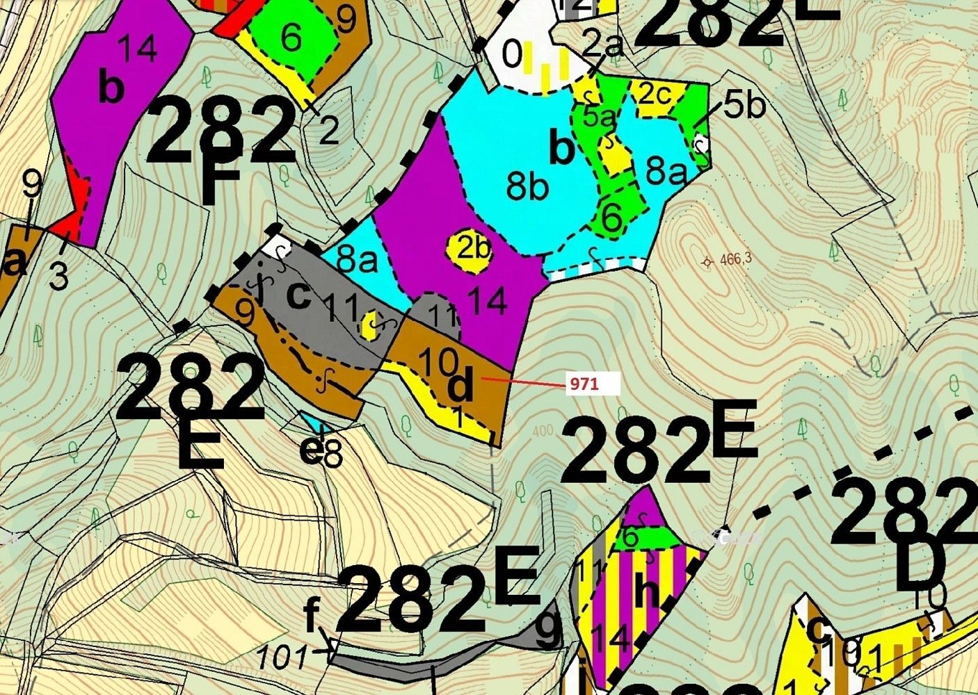 Les · Lhota Rapotina, okres Blansko, Jihomoravský kraj - 3