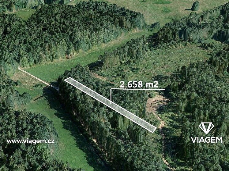 Les · Třeboň, okres Jindřichův Hradec, Jihočeský kraj - 1