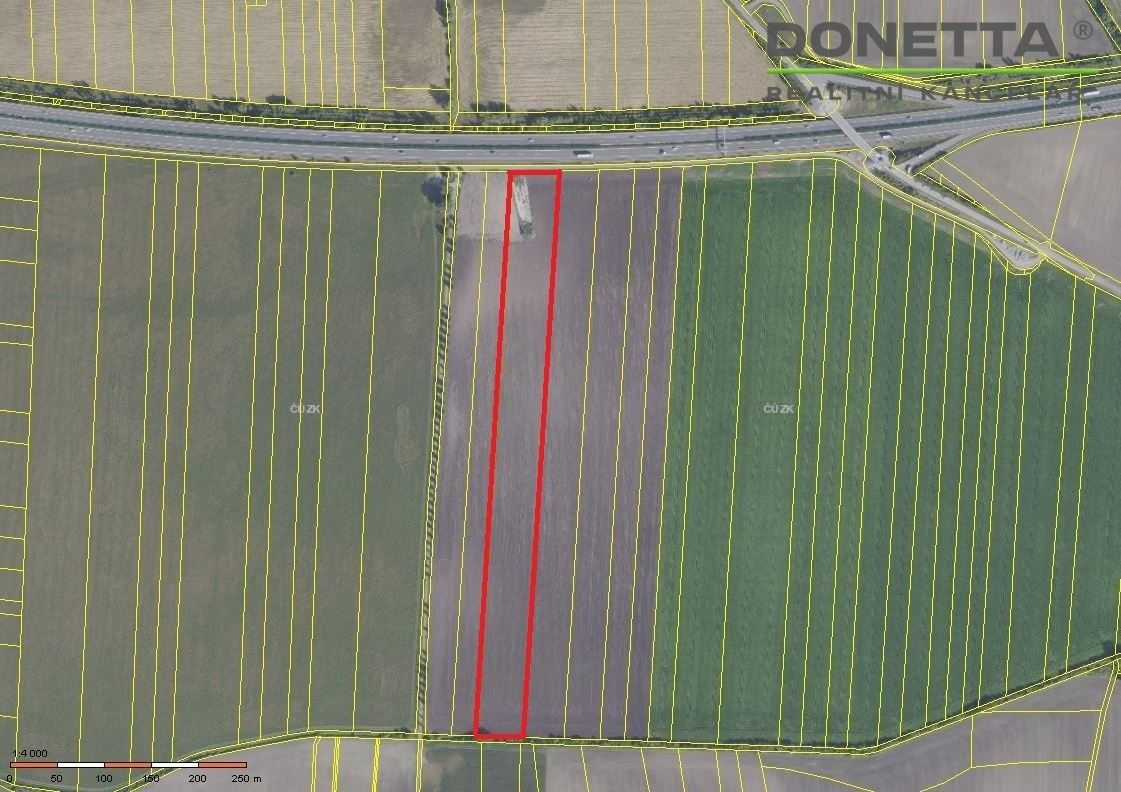 Zemědělský pozemek · 55 496 m² · Sány - 3