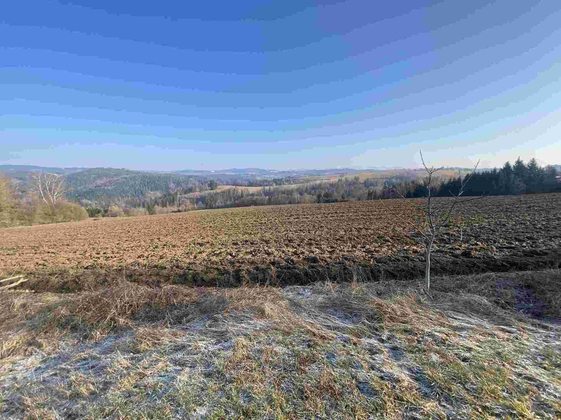 Zemědělský pozemek · 28 066 m² · Semily Spálov - 3