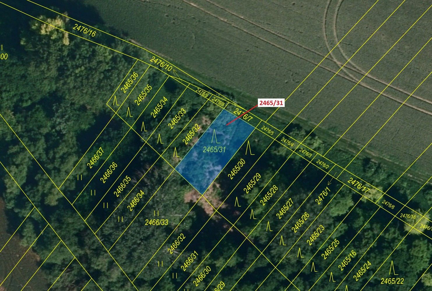 Prodej les - Horní Dunajovice, okres Znojmo, Jihomoravský kraj - 2
