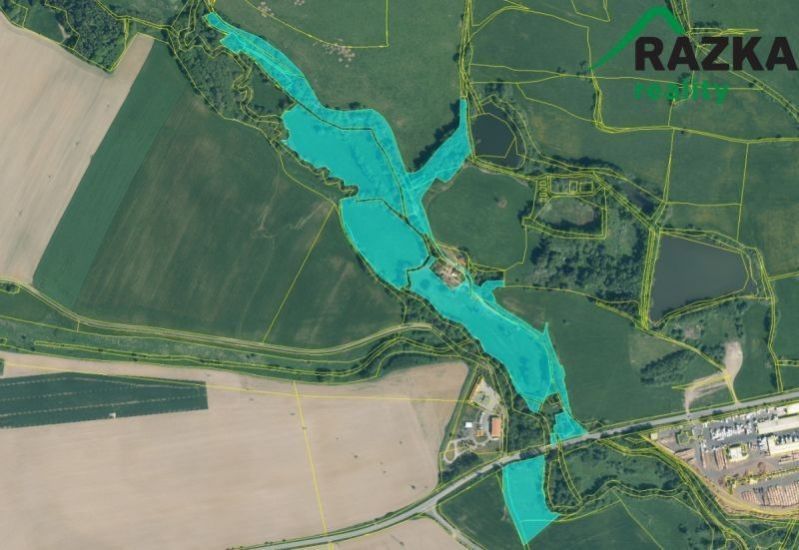 Prodej zemědělský pozemek - Planá, 119 477 m²