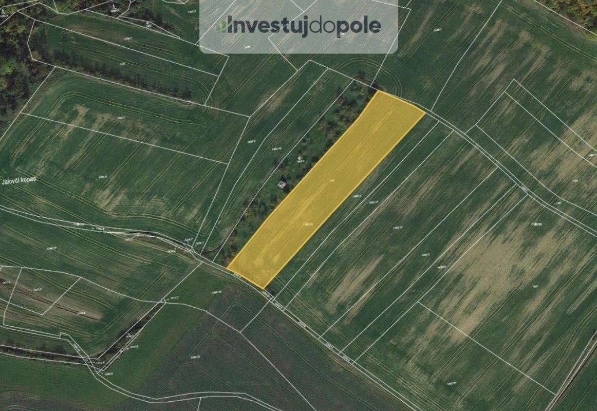 Prodej zemědělský pozemek - Grešlové Mýto, 671 56, 8 074 m²