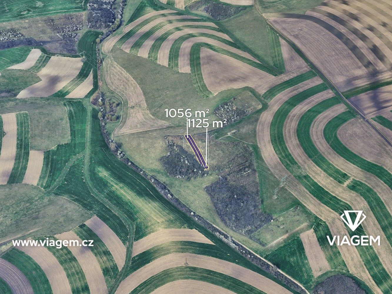 Zemědělské pozemky, Bošovice, okres Vyškov, Jihomoravský kraj