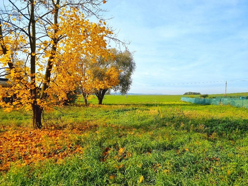 Pozemek pro bydlení · Boseň, okres Mladá Boleslav, Středočeský kraj - 4
