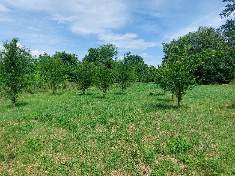 Zahrady, Rajhrad, 4 845 m²