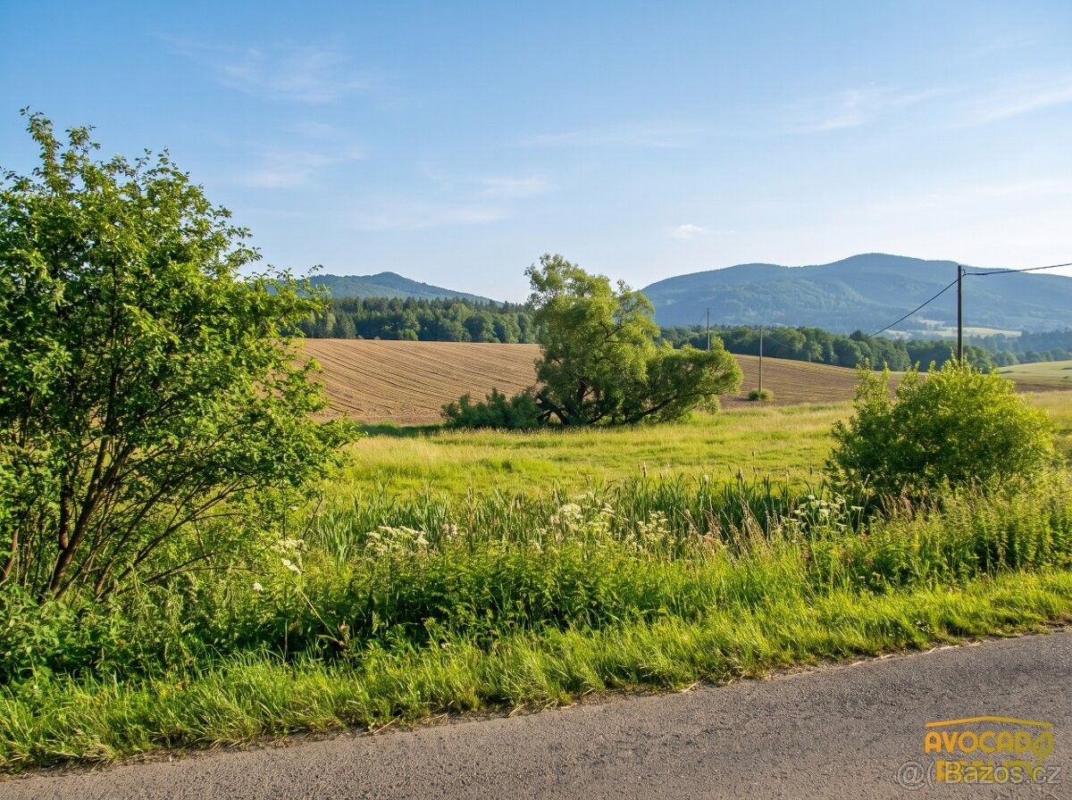 Prodej pozemek pro bydlení - Křižany, 463 53 - 5