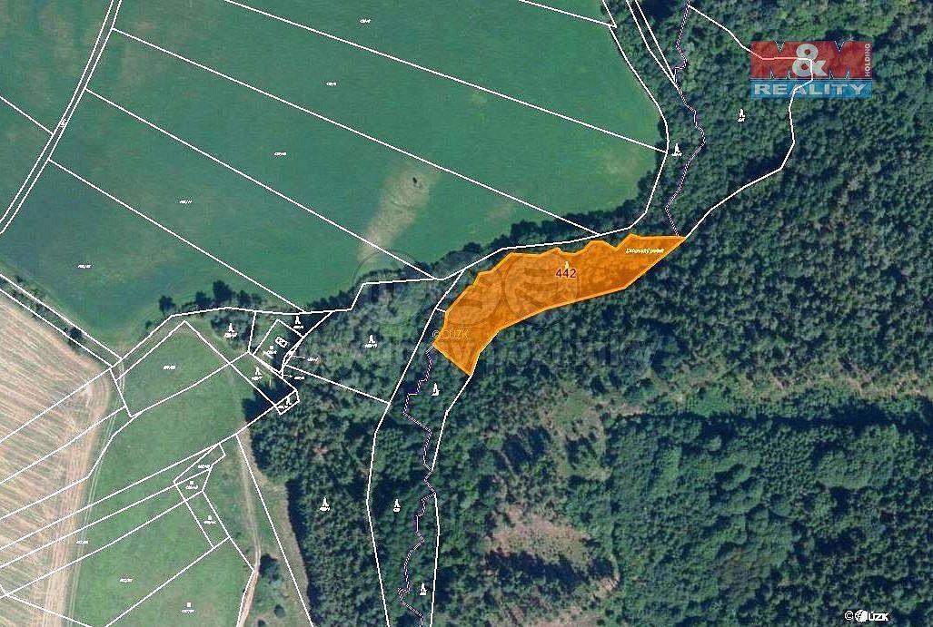 Prodej les - Borotice, okres Příbram, Středočeský kraj - 1