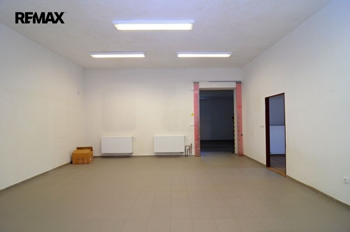 Pronájem obchodní prostory - Brněnec, 779 m² - 5