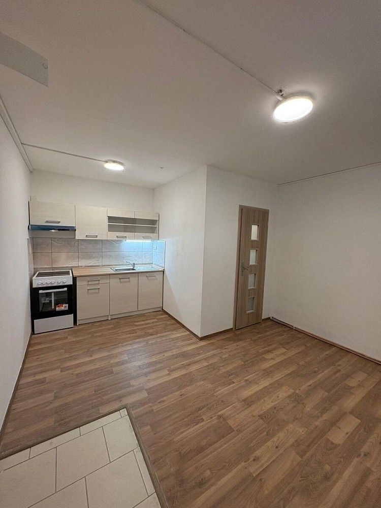 1+kk, Bílina - Újezdské Předměstí, okres Teplice, Ústecký kraj, 16 m² - 1