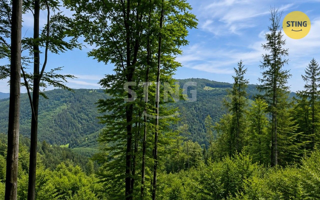Louky, Košařiska, 6 262 m² - 1