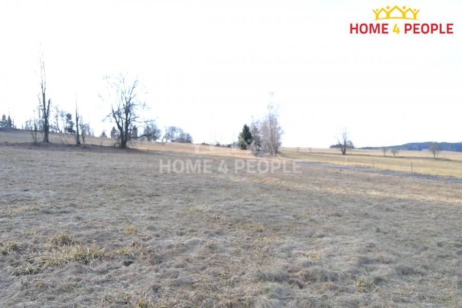 Prodej pozemek pro bydlení - Bublava, 9 092 m² - 5