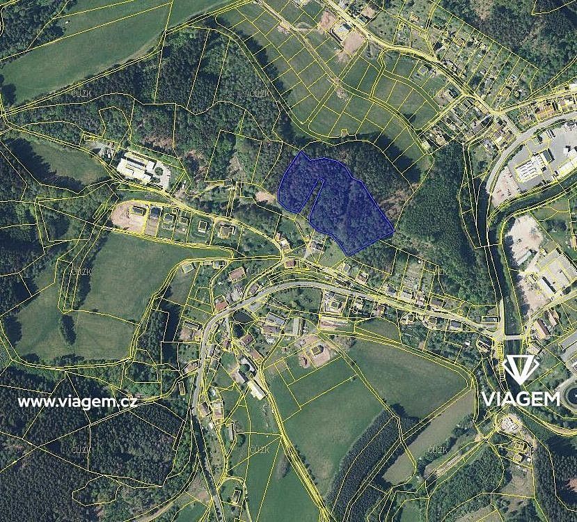 Prodej les - Náchod, Královéhradecký kraj - 2