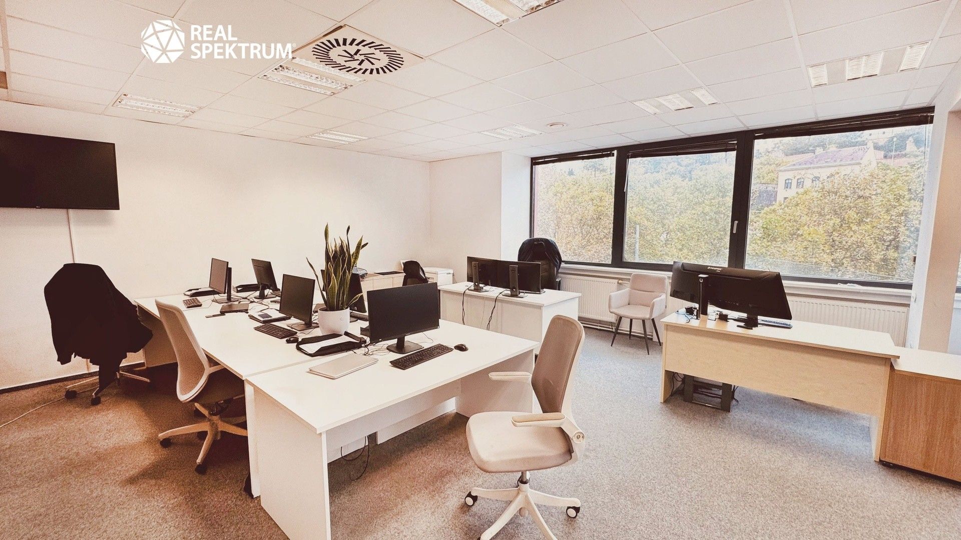 Kanceláře, Nové sady, Brno, 272 m²