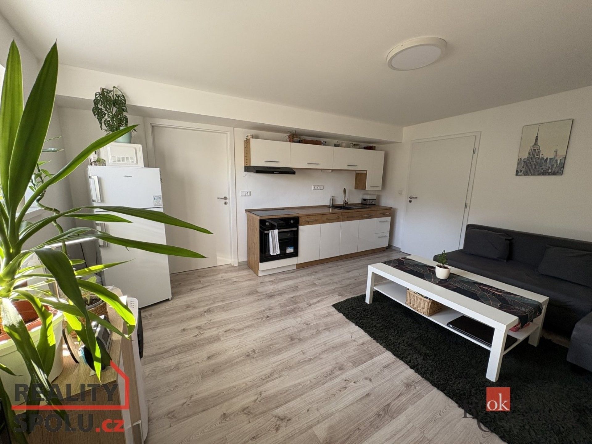 Pronájem byt 2+kk - Resslovo nábřeží, Opava, 45 m²