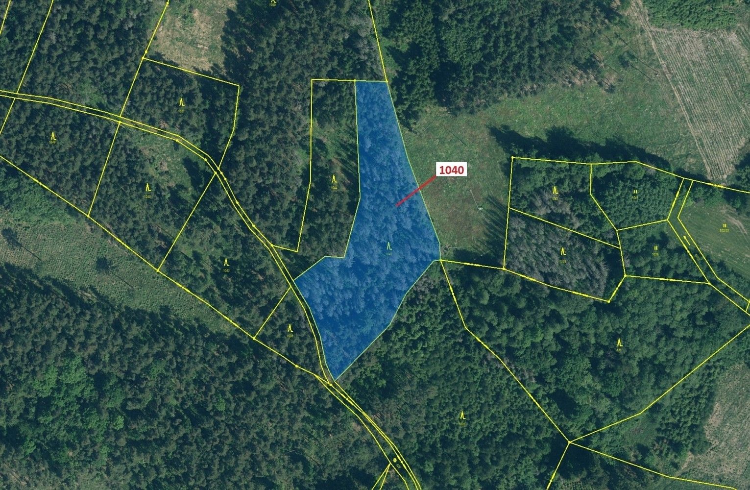 Lesy, Slatina, okres Klatovy, Plzeňský kraj - 2