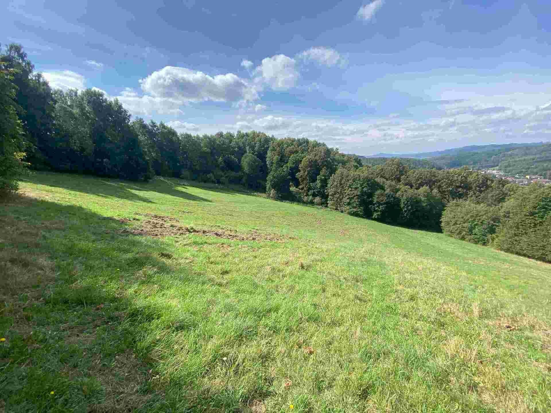 Pozemek · 10 593 m² · Sobotín - 3