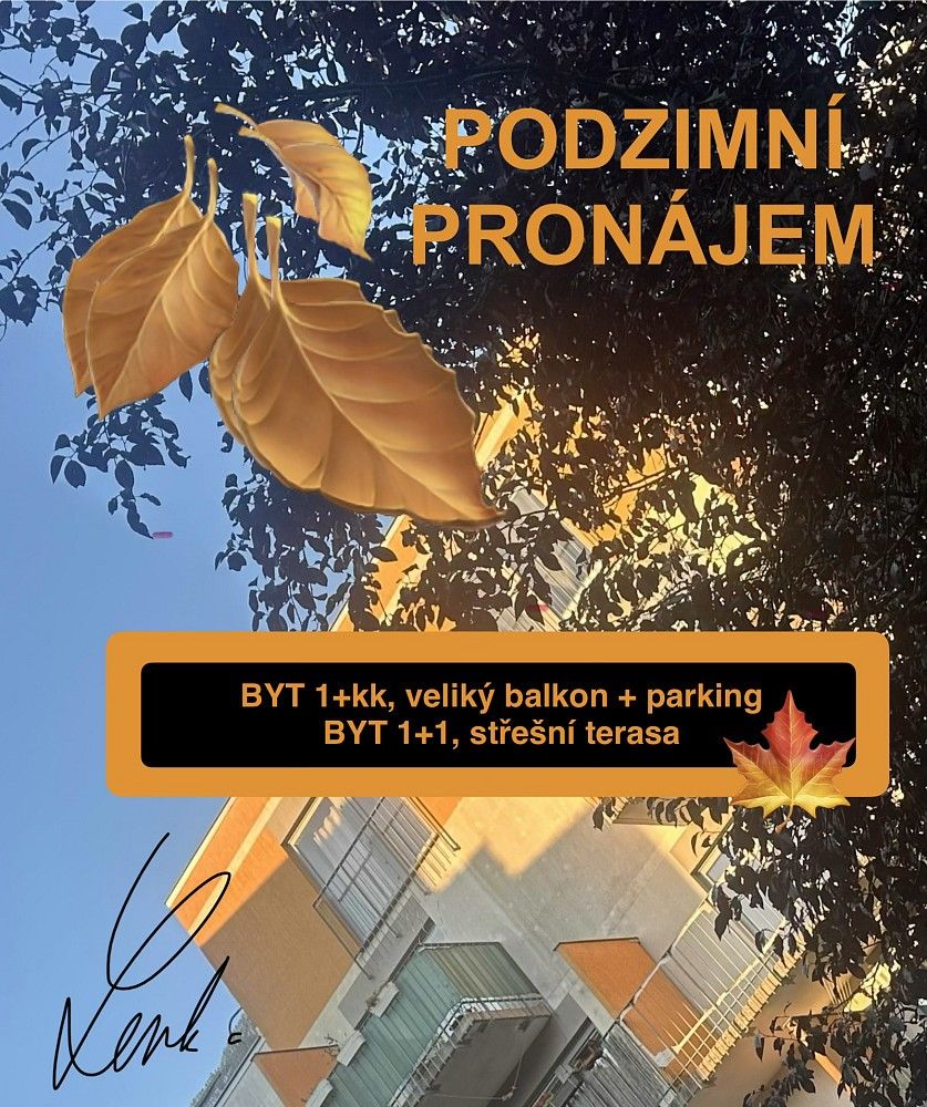 1+kk, Hedvábná, Liberec - Liberec VI-Rochlice, 51 m² - 1