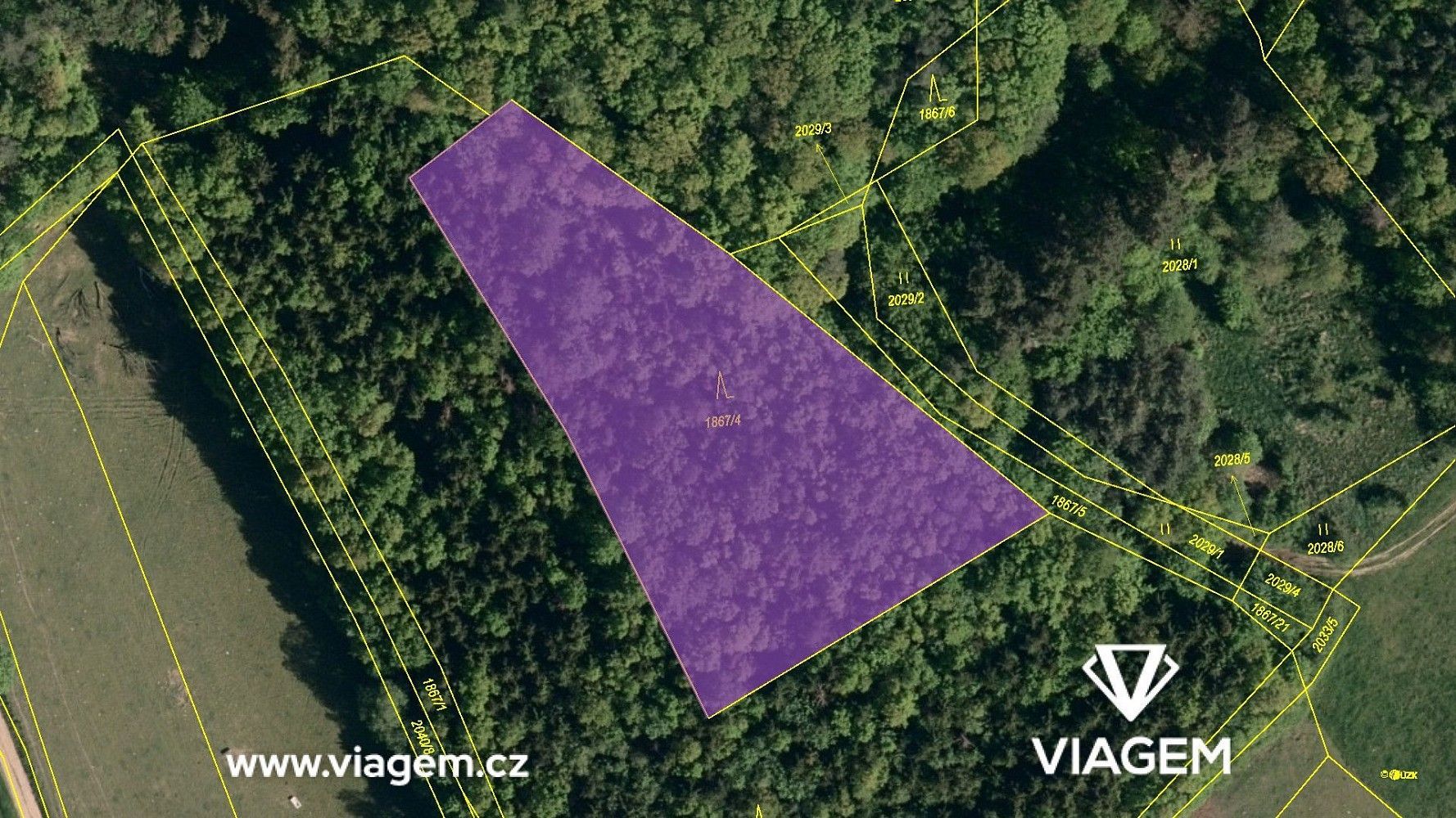 Les · Vizovice, okres Zlín, Zlínský kraj - 4
