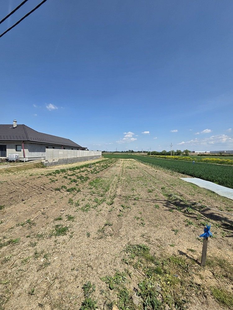 Pozemek pro bydlení · Blučina, okres Brno-venkov, Jihomoravský kraj - 3