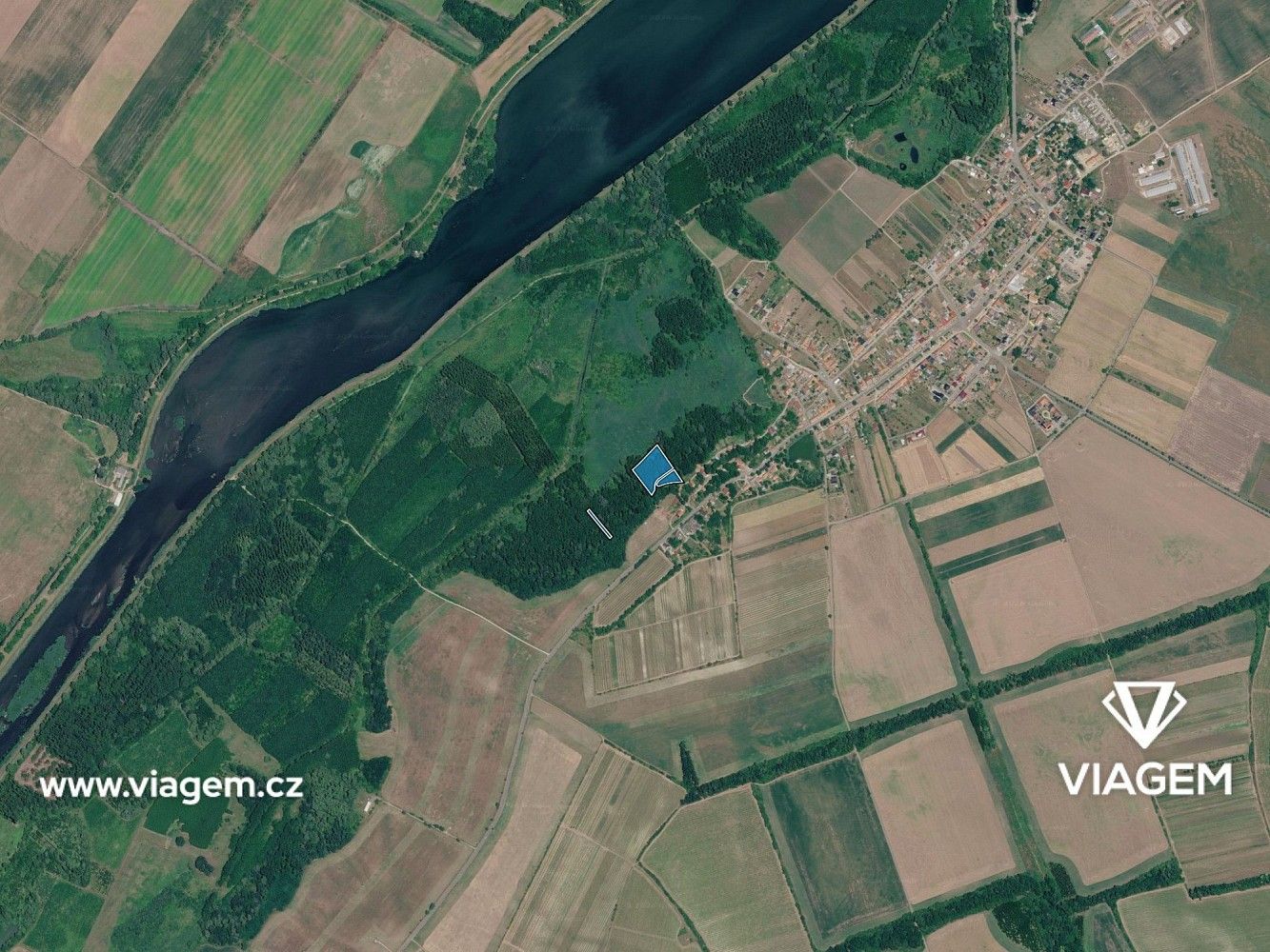Les · Brod nad Dyjí, okres Břeclav, Jihomoravský kraj - 2