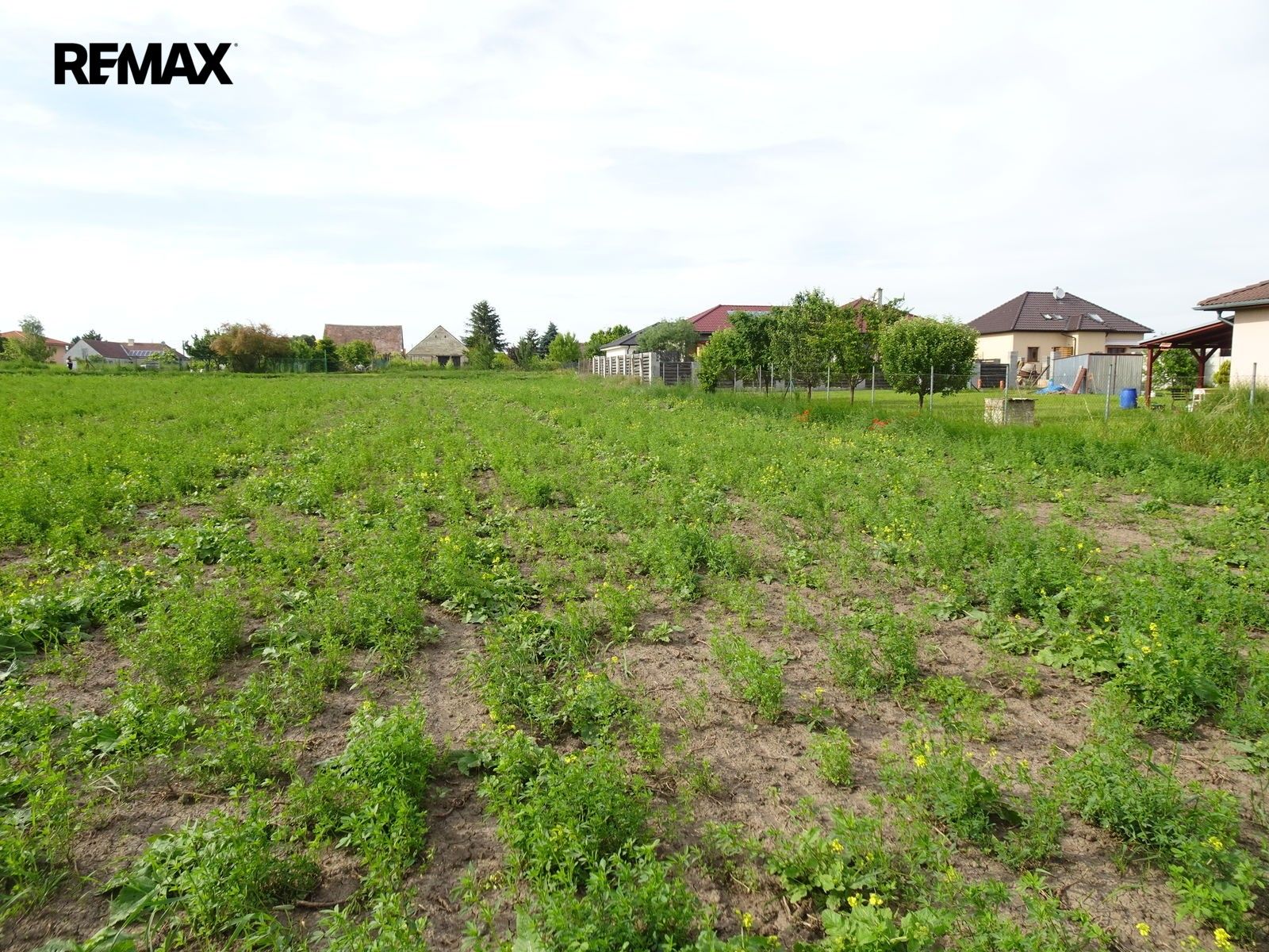 Prodej pozemek pro bydlení - Dyjákovičky, 2 175 m² - 5