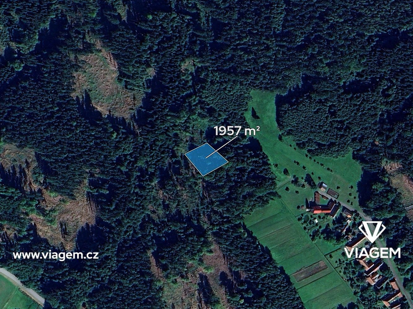 Lesy, Vyklantice, okres Pelhřimov, Kraj Vysočina - 2