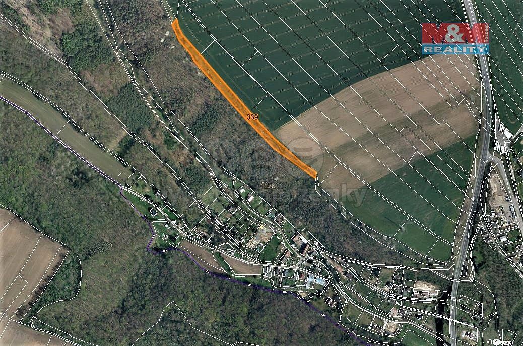 Les · Hrdlořezy, okres Mladá Boleslav, Středočeský kraj - 3